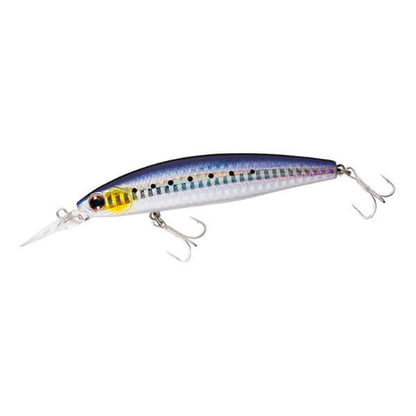 ショアラインシャイナーZ　セットアッパー　145S－DR(レーザーマイワシ)